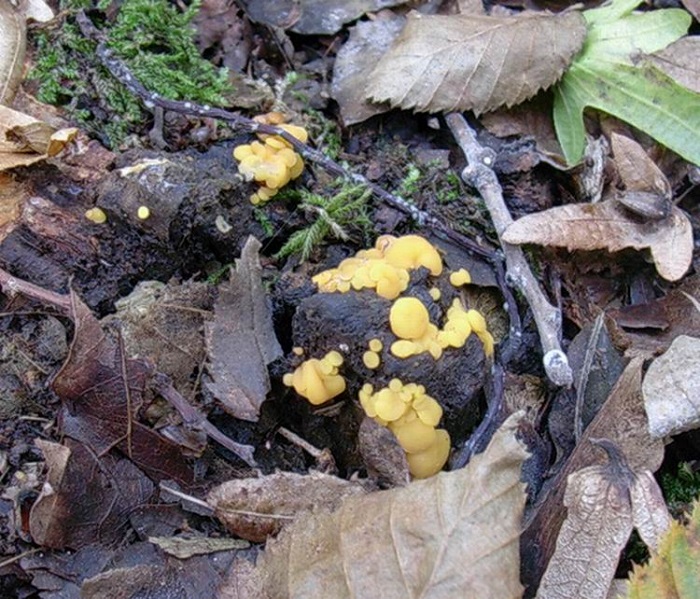 819 Ottobre vecchio ritrovamento